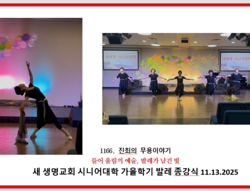 1166. 들어 올림의 예술, 발레가 남긴 빛